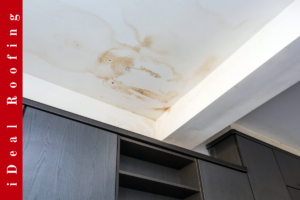 Ceiling showing water damage with brown stains above modern dark wood cabinets; red strip on the left with "iDeal Roofing" text. Industrial tone.
