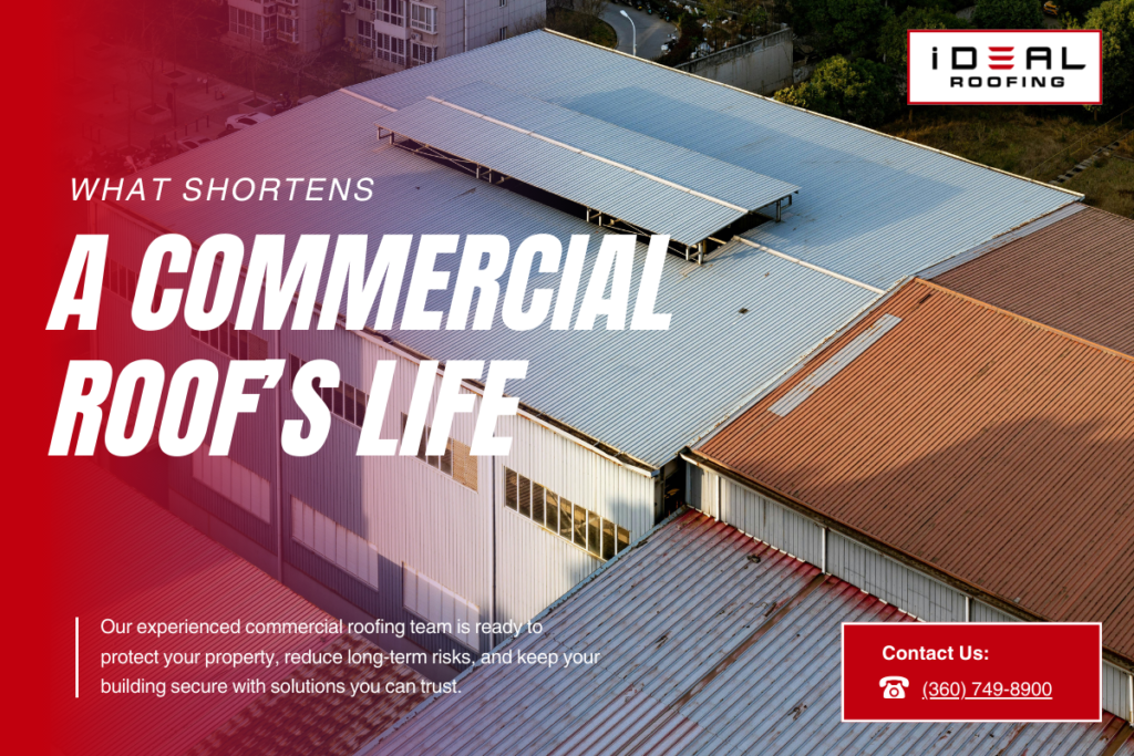 Aerial view of metal warehouse roofing; ignoring rust or debris shortens a commercial roof's life quickly.