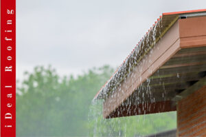 Rainwater flows off a roof with visible shingles and siding during a storm, highlighting the need for emergency roof repair. The background features blurred green trees, creating a fresh, rainy atmosphere.