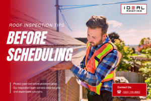 Professional checking gutters as part of roof inspection tips to prevent water damage and debris buildup.