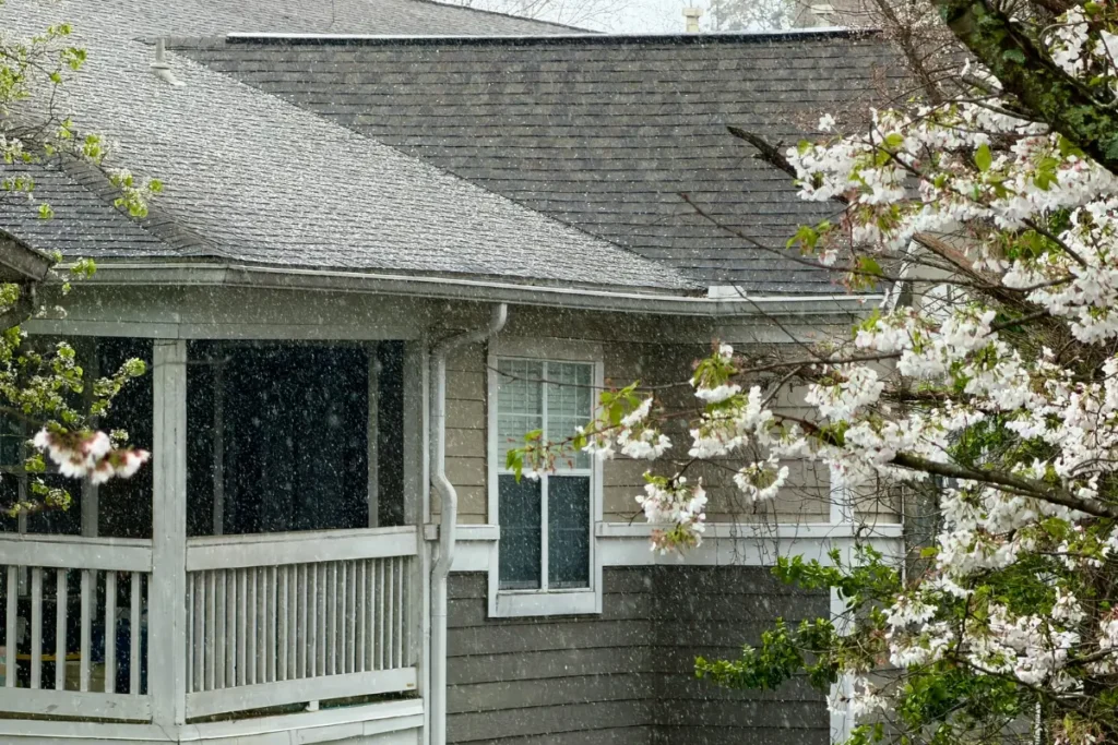 Roof Replacement Protects Roof