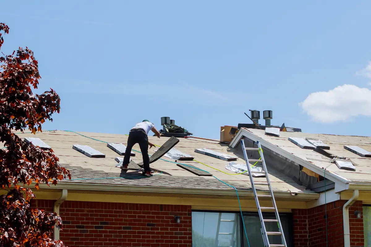 A professional roofer working on a residential brick house during a roof replacement, tearing off old shingles down to the plywood decking layer