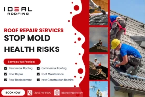 Ideal Roofing banner highlighting mold health risk prevention, services, and booking contact details.