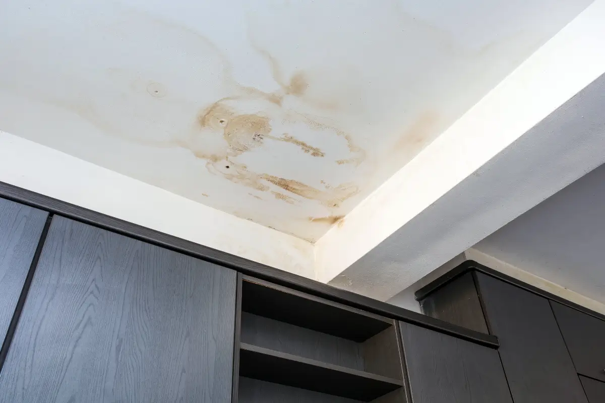 Large brown water stain on a white plaster ceiling above dark wooden kitchen cabinets, indicating an active roof or plumbing leak