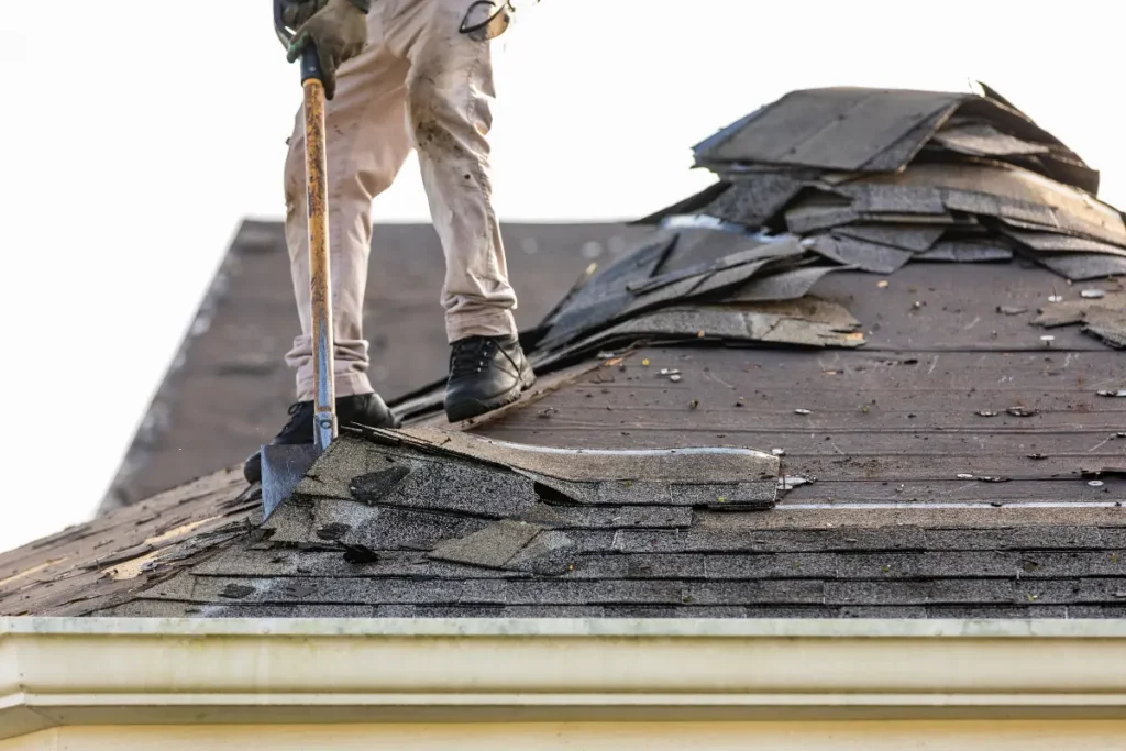 Roofer standing on a house roof using a shovel-like tear-off tool to strip old asphalt shingles during a roof replacement.