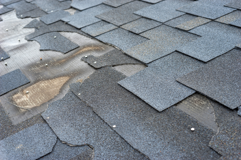 Close-up of wind-damaged asphalt shingles blown off a roof surface, exposing underlying underlayment and roofing nails.